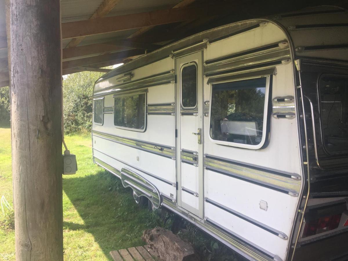 The Quarry Caravan Falmouth Luaran gambar